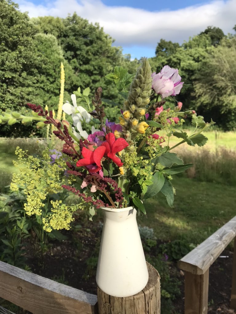 Flowers from the ‘cutting bed’ to add some cheer to a patients room #theraputicgarden #buildingacommunity #ConnectWithNature #flowers