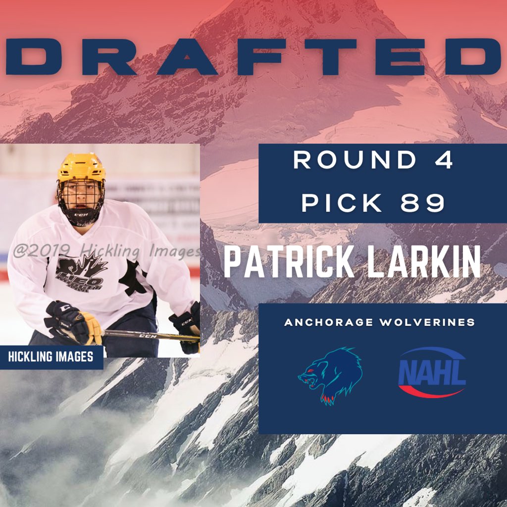 Anchorage Wolverines (@anchoragewolve1) on Twitter photo 