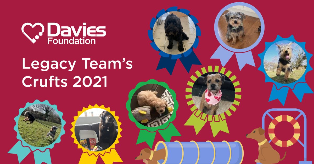 This month our Legacy Team in <a href="/KeoghsLaw/">Keoghs Law</a> held our inaugural virtual Crufts 🐩

The prize pets got together to compete for Cutest, Best Newcomer, Best Haircut &amp; more, all whilst raising money for our charity!

Thanks to the team involved and our very sweet competitors!