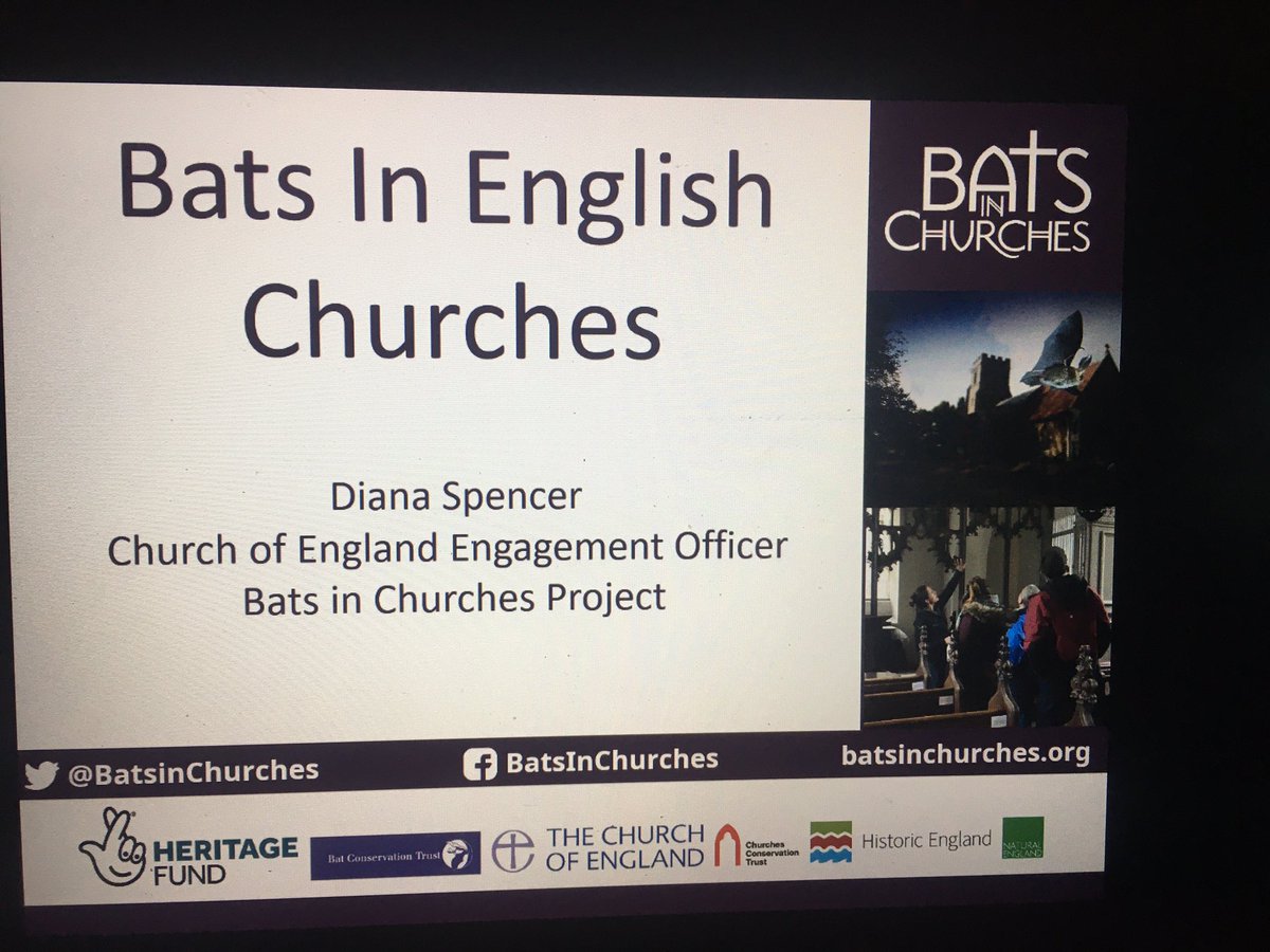 African Bat Conservation tweet media