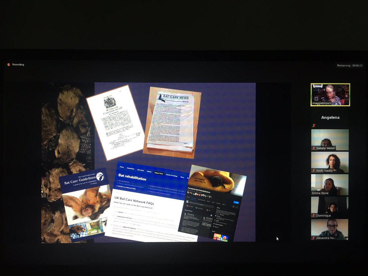 For our last session of the day we have two fantastic workshops! 

Bats and Churches run by Diana Spencer 

&amp; 

Bat care guidelines and protocols run by Maggie Brown 

#ABCAWRN4 #AfricanBats #BatConservation #BatResearch #BatWelfare #Conservation