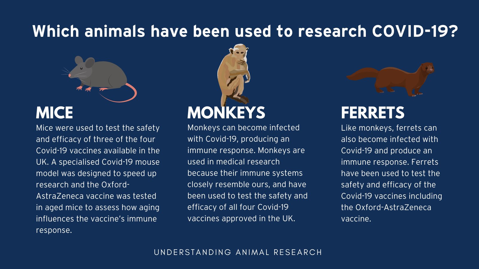Understanding Animal Research on Twitter: 