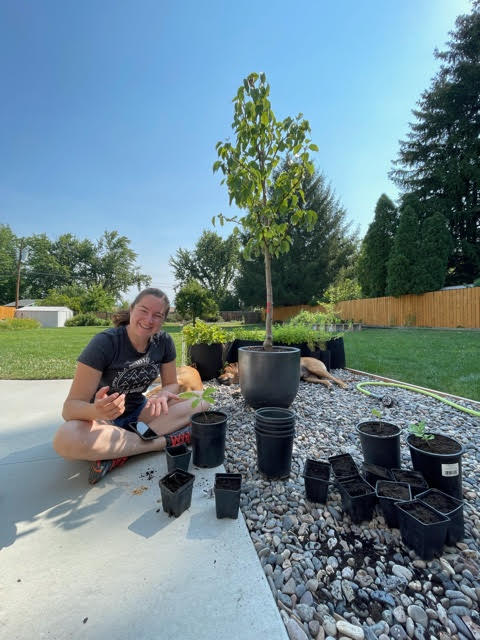 Cool tree planting idea from two sisters during a heat wave: Planting foraged tree seeds and ‘rehoming’ urban tree seedlings and then listing seedlings online for free for people who want to plant trees or partake in the replanting. #rootdownreachout  #upairquality #compassion