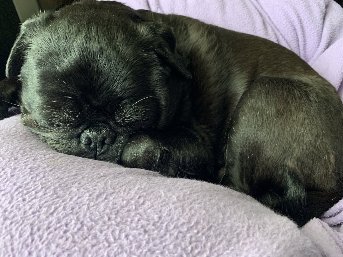 Ian Larson RPM tweet media