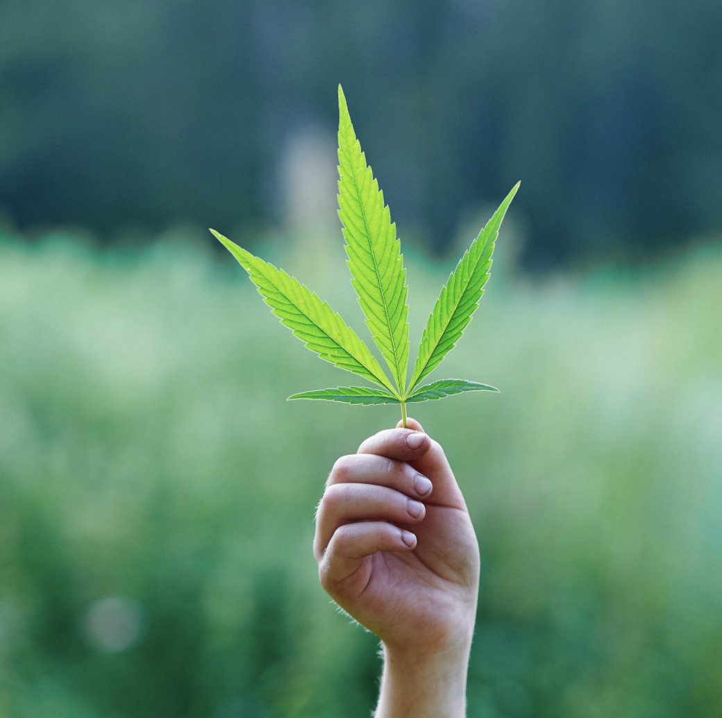 JusticeGrown's tweet photo. If you want to have more control over your cannabis consumption and reduce the chance of a bad experience, it starts by understanding the different types/strains, their purposes, and their desired effects. Read more with link in bio! https://t.co/7wZ3CqVjv4