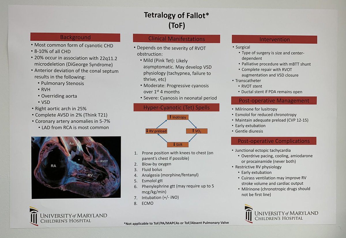 Cardiac Lesion for the Month of July!  Follow us for more cardiac lesions!! #happylearning #MedTwitter #picu #PedsICU