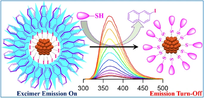 JChemSci's tweet photo. New strategy for sensitive detection of thiol molecules based on fluorescence quenching (turn-off) response.
Prasenjit Maity &amp; coworkers from @NFSU_Official 

#Gold #Nanomaterials #Clusters #excimer #emission #sensing #fluorescence 
https://t.co/P3mXIaSMVc https://t.co/5BoxVATGwo