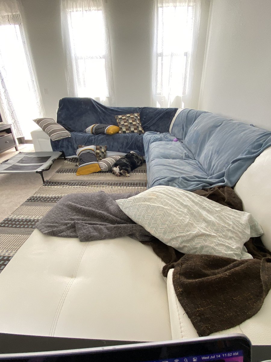 oreo_tux's tweet photo. Mom tried to “bully proof” the white sofa from my drool, hair and other stuff…it’s a disaster.  😂 Any sources for proper pet-proof furniture covers we can share with her? 
.
.
.
#oreo #petproofing #drool #hair #pawprints #markings #scratches #ugh #dogs #dogsoftwitter https://t.co/3TLxvB8IQL