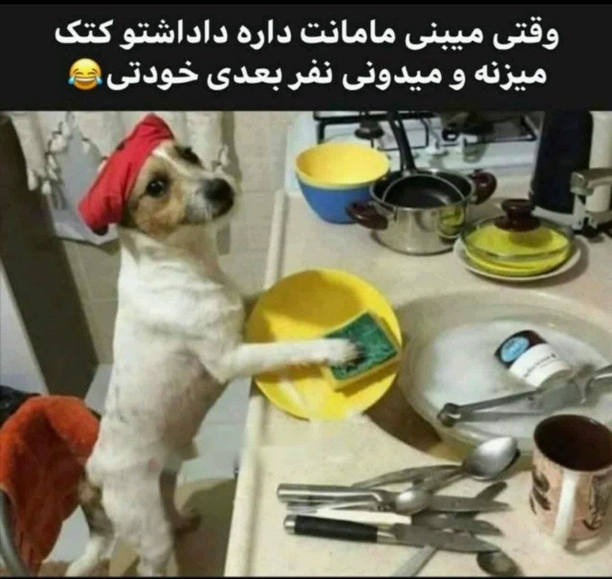 simasamiei64's tweet photo. @Mmohamad_2000 @bent_e_mohammad https://t.co/CRnT4cqhuR