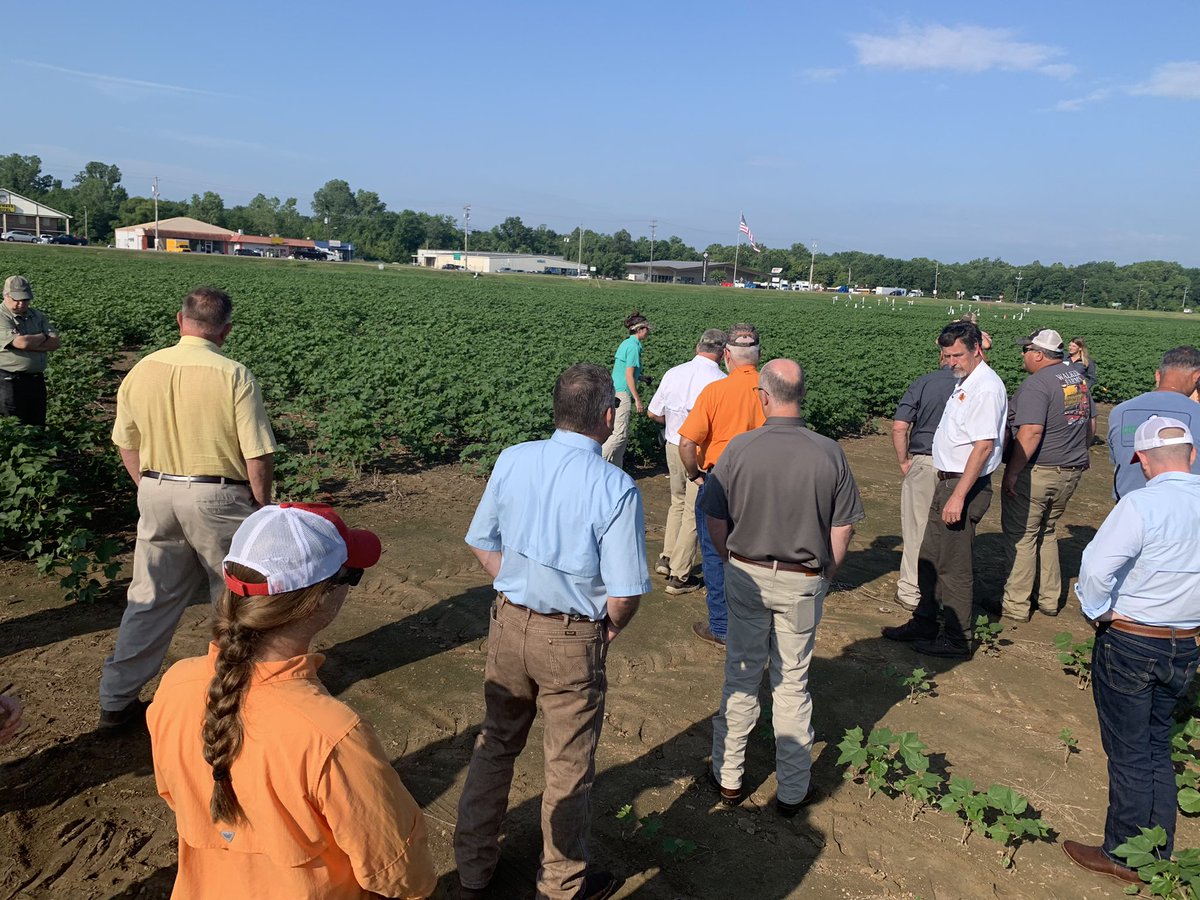 bdsims58's tweet photo. Tennessee Cotton Support Committee touting and receiving research and Extension project updates from  UT faculty, funded by Cotton, Inc. @UTIAg  @utextension @UTAgResearch @BugStewart @CottonInc #cotton https://t.co/Emv7fLWPtL