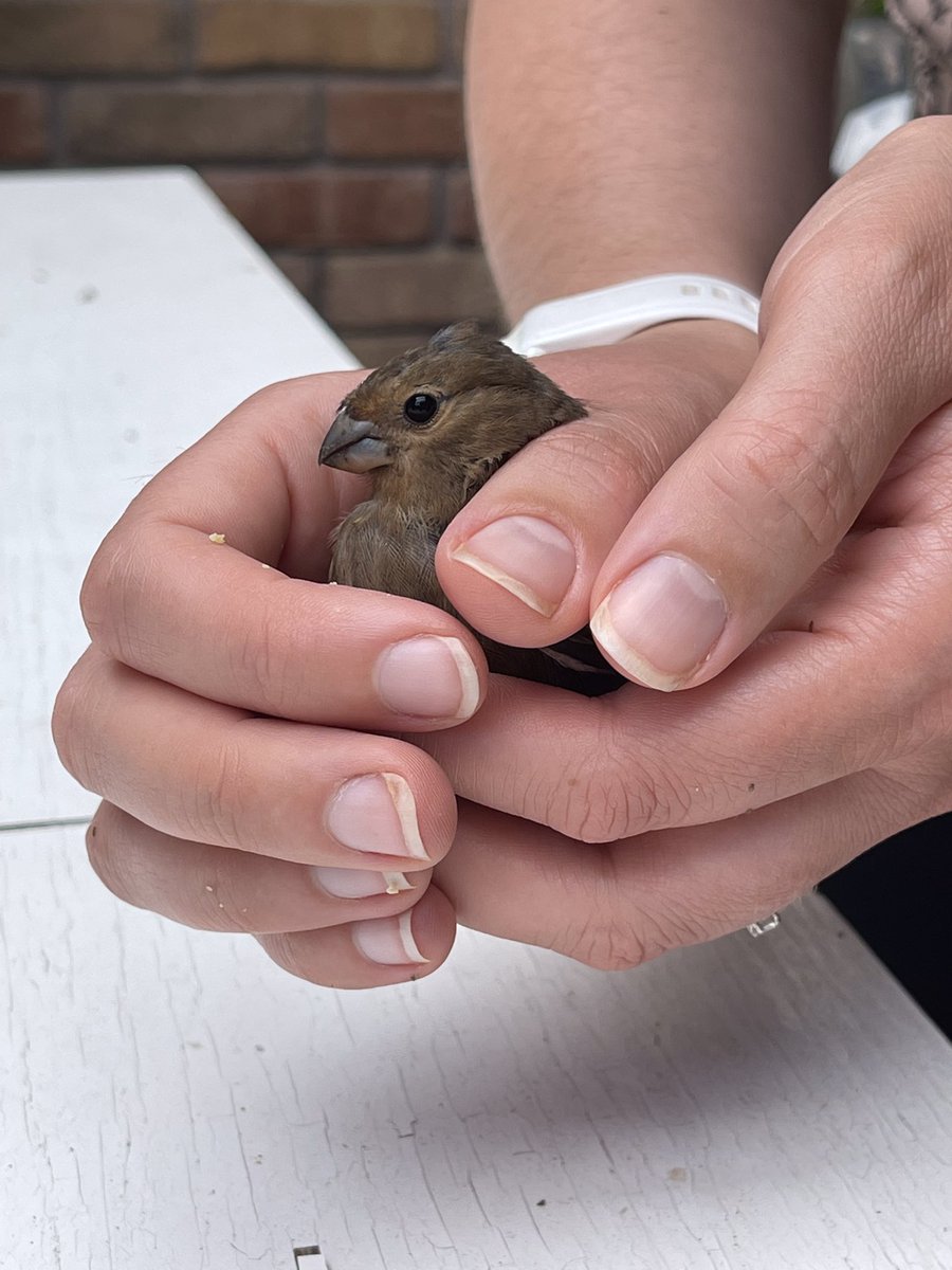 Heidi Piercy tweet media