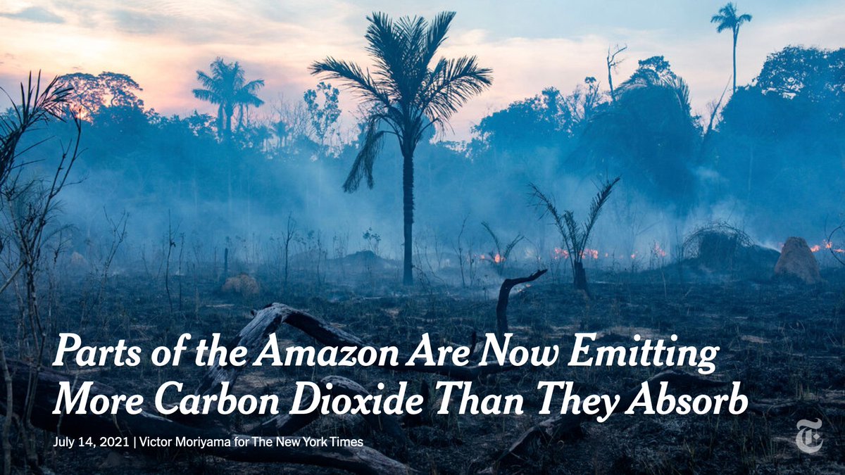 The New York Times tweet media