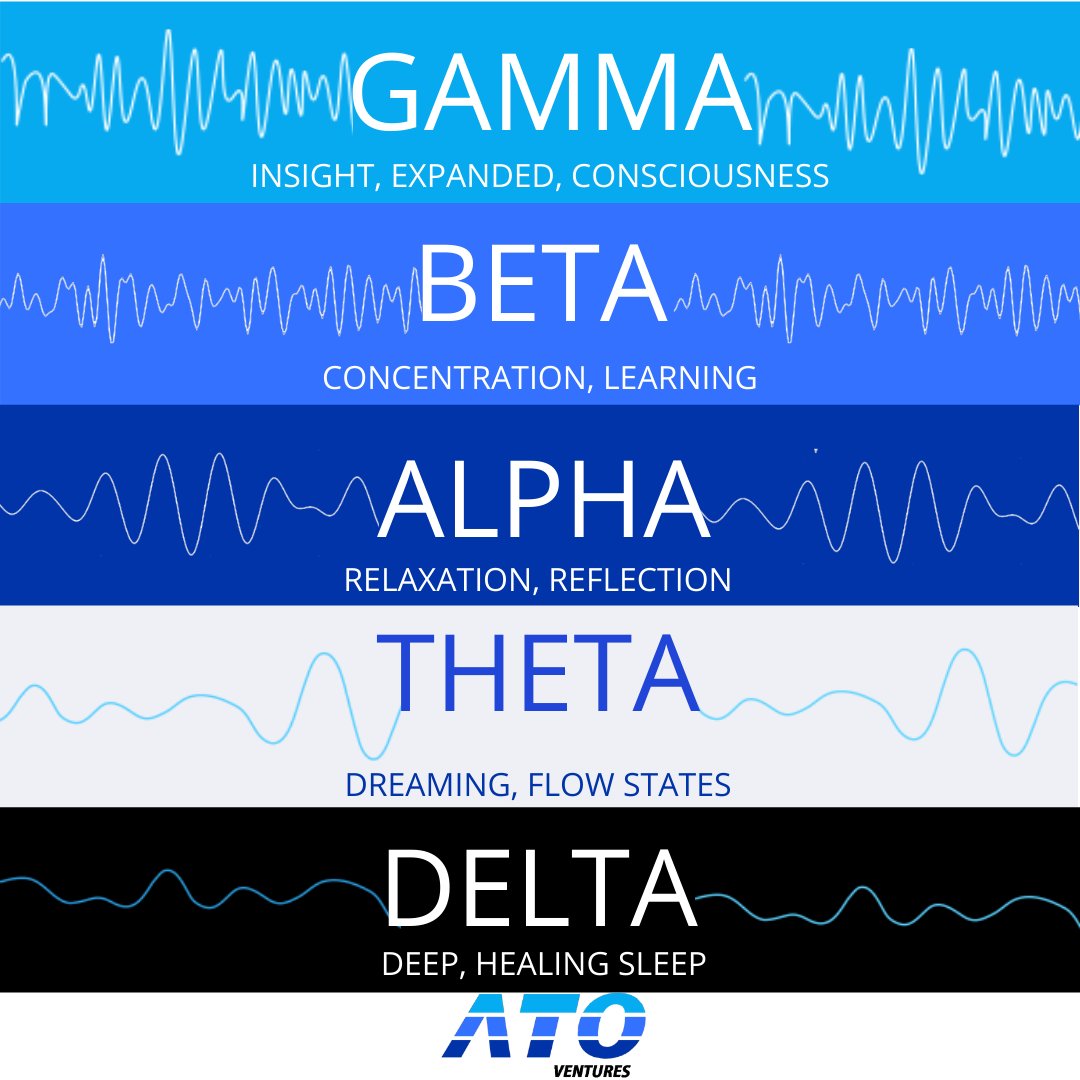 ATO Ventures (@atoventures) on Twitter photo How much do you know about brainwave states? How can learning to control your mind help you in business? hopp.vc/blog/biz/medit…
#alwayslearning #businesstips <a href="/Hopp_vc/">Jennifer P. Hopp</a> How much do you know about brainwave states? How can learning to control your mind help you in business? hopp.vc/blog/biz/medit…
#alwayslearning #businesstips <a href="/Hopp_vc/">Jennifer P. Hopp</a>