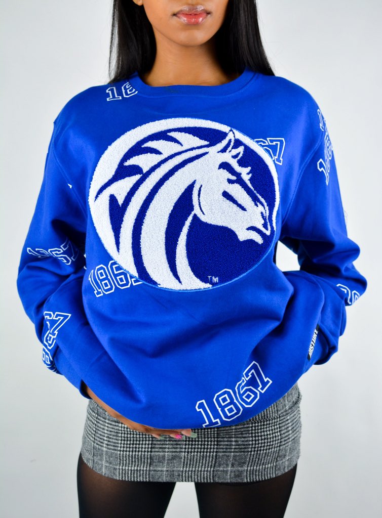 ShopLHP's tweet image. Oversized HBCU crewnecks always work @uncfsu