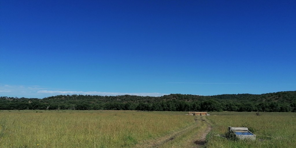 H2020SuperG's tweet photo. Today we get to know another farm in the PT #FarmNetwork. António's farm has one of the largest areas of #montado in Portugal! https://t.co/2glUePMPGa