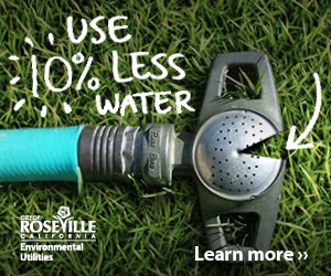 Our water resources are strong, but we need to reduce use right now to stretch our supplies this summer. You can help by reducing your water use by 10% now. bit.ly/use10percentle…