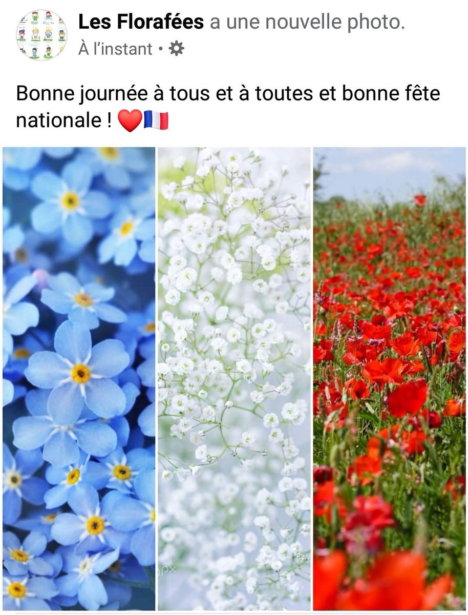 Bonne fête nationale du #14Juillet
