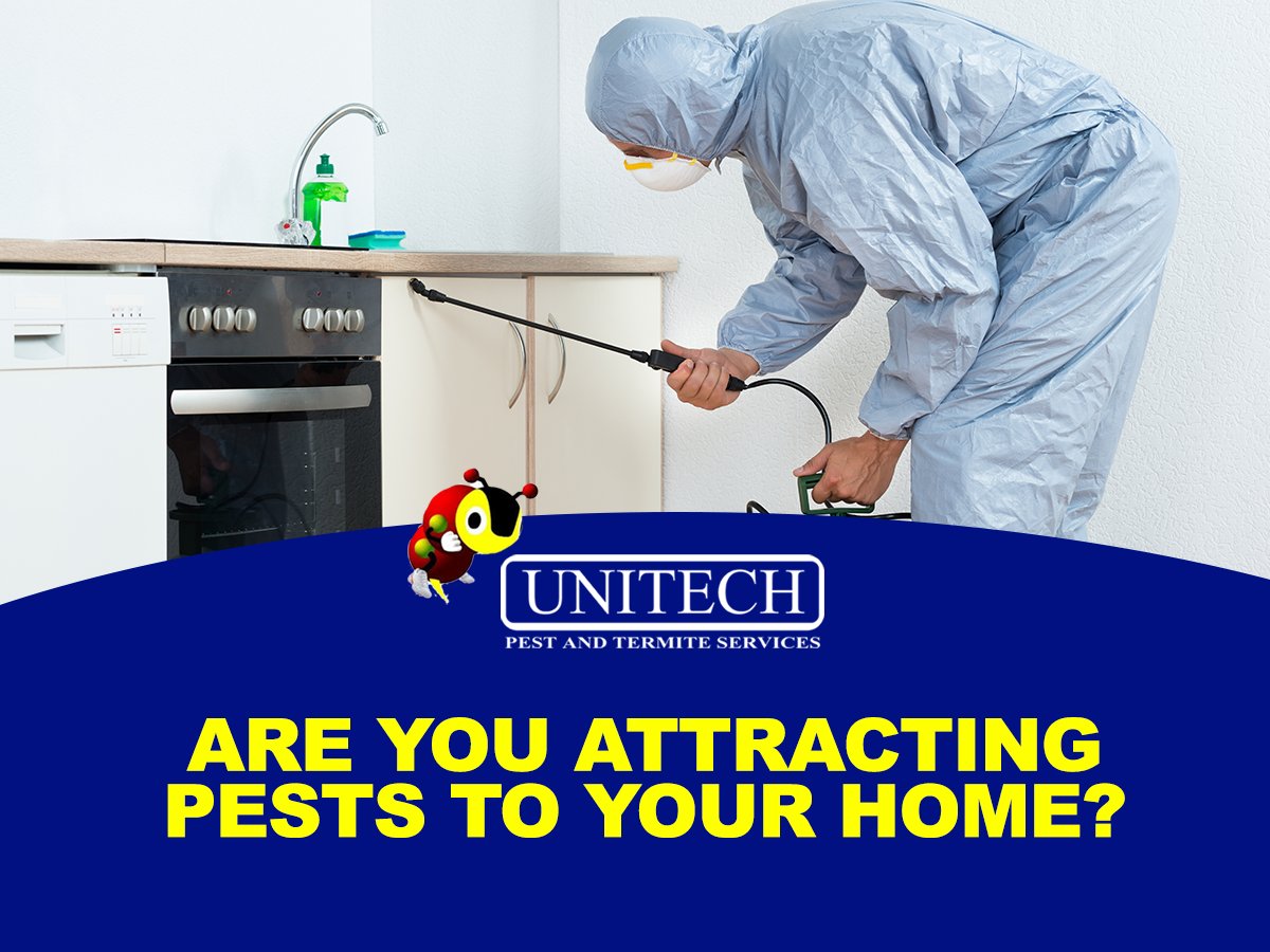 unitechpestcom's tweet photo. Have you been noticing more pest problems inside your home recently? You might be attracting pests to your home. It is important to know what steps to take to avoid pest infestations and when all else fails, leave it to the professionals. #UnitechPestControl #StLouisPestControl https://t.co/PBNdZfLMg6