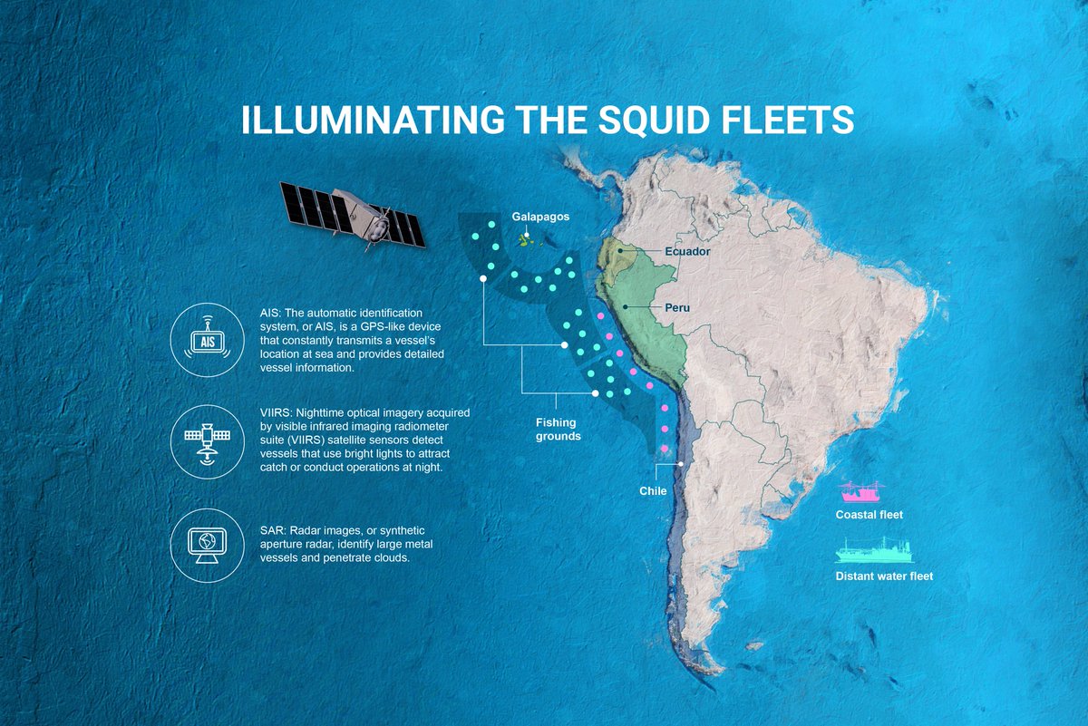Global Fishing Watch tweet media