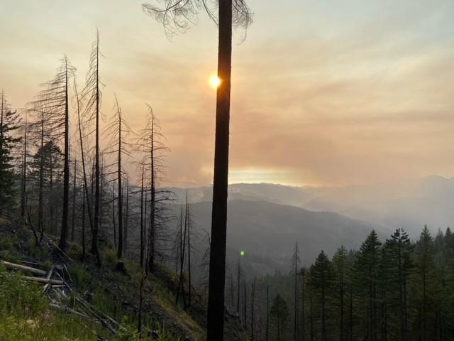 ForestServiceNW's tweet photo. We have 14 large fires burning over 315,000 acres w/over 4,400 firefighters addressing incidents all over the Pacific NW. The Region has moved to Preparedness Level 5--the highest level: this is quite early in the fire season to reach that level. https://t.co/LzkfHBU9jH