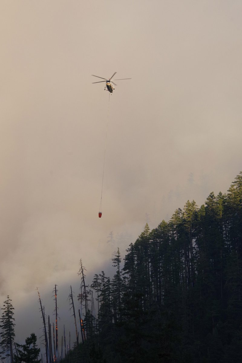 ForestServiceNW's tweet photo. We have 14 large fires burning over 315,000 acres w/over 4,400 firefighters addressing incidents all over the Pacific NW. The Region has moved to Preparedness Level 5--the highest level: this is quite early in the fire season to reach that level. https://t.co/LzkfHBU9jH