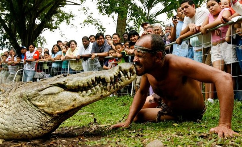 En Inglaterra destacan la gran historia en Costa Rica de 'Chito' con su  recordado cocodrilo