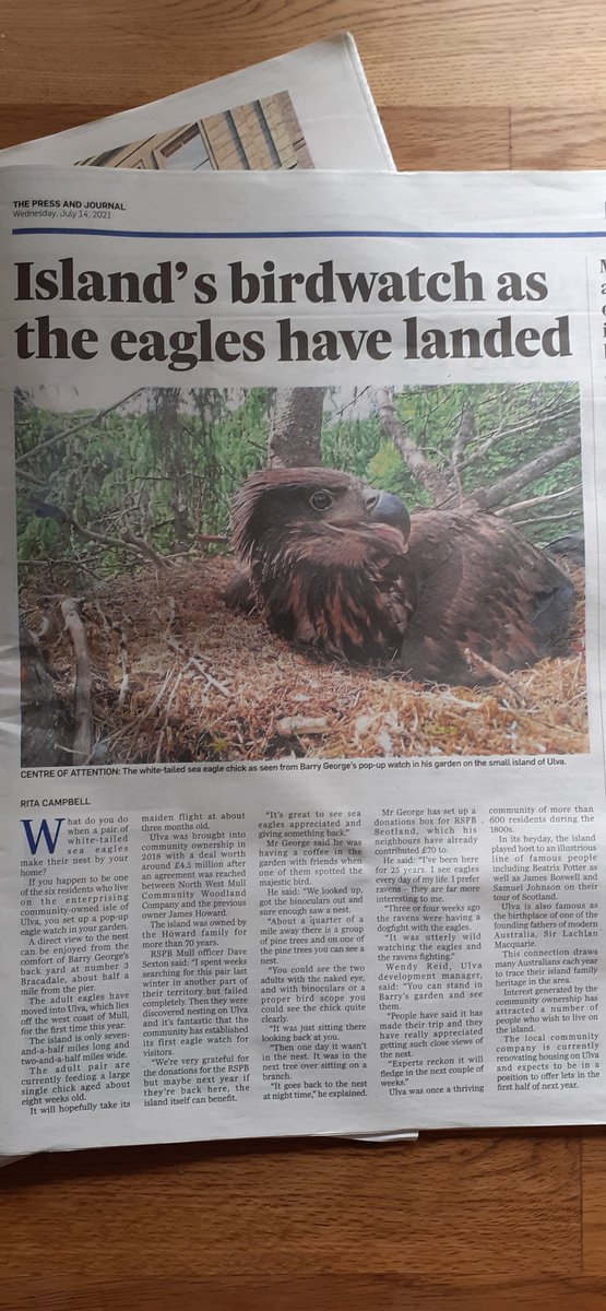 Skye and Frisa tweet media