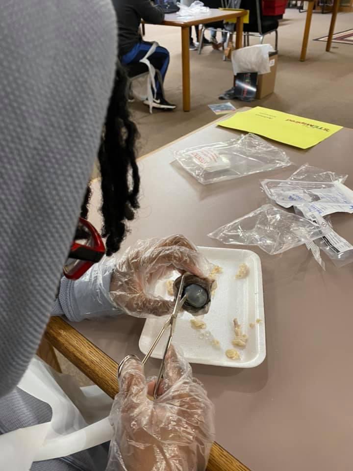 STEMspiredCHISD's tweet photo. We Are STEMspired! Growing our scholars knowledge, understanding, and curiosity through the CHISD STEM Camp. #DissectingCowEyes #FlyingClassroom @LoweTyesha @NatMom3Loves @mrssonjawhite https://t.co/wOXedliSCO