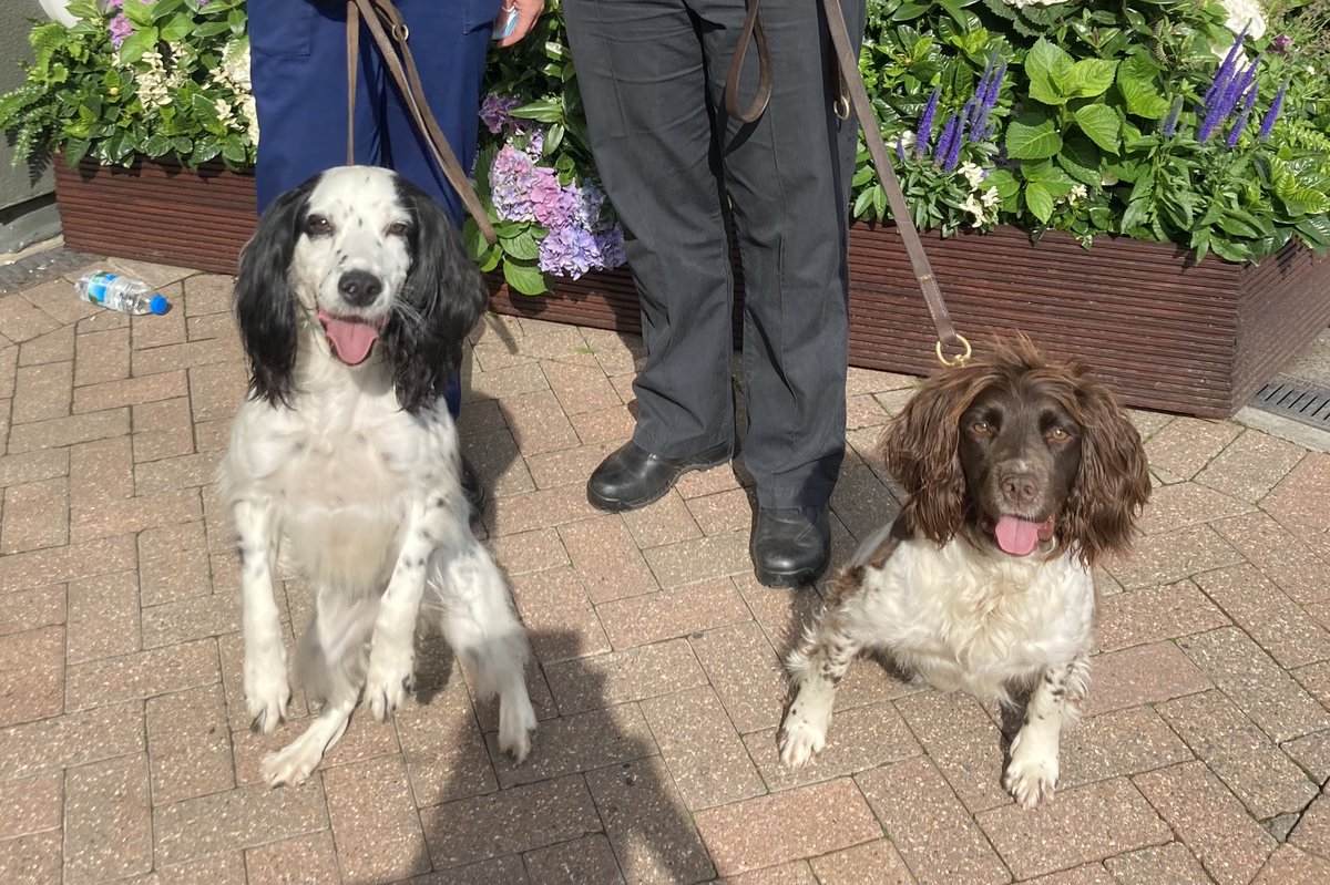 Our Explosive search dogs have been so hard at work. G7, Wimbledon and lastly the Euros!! 👏 👏 RN #Wimbledon2021 #Euros2021 #g7summit #dogsoftwitter #keepinglondonsafe