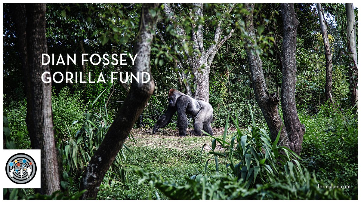 Our fabrication team is knee-deep in work for the Dian Fossey Gorilla Fund in Rwanda in collaboration with MASS Design Group. We cannot wait to share this project with you very soon. Watch this space!​

​#DianFossey #MassDesignGroup

Photo by Mike Arney on Unsplash