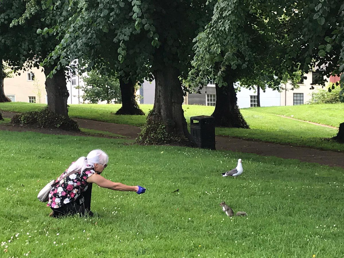 St Michael's Mt Pri tweet media