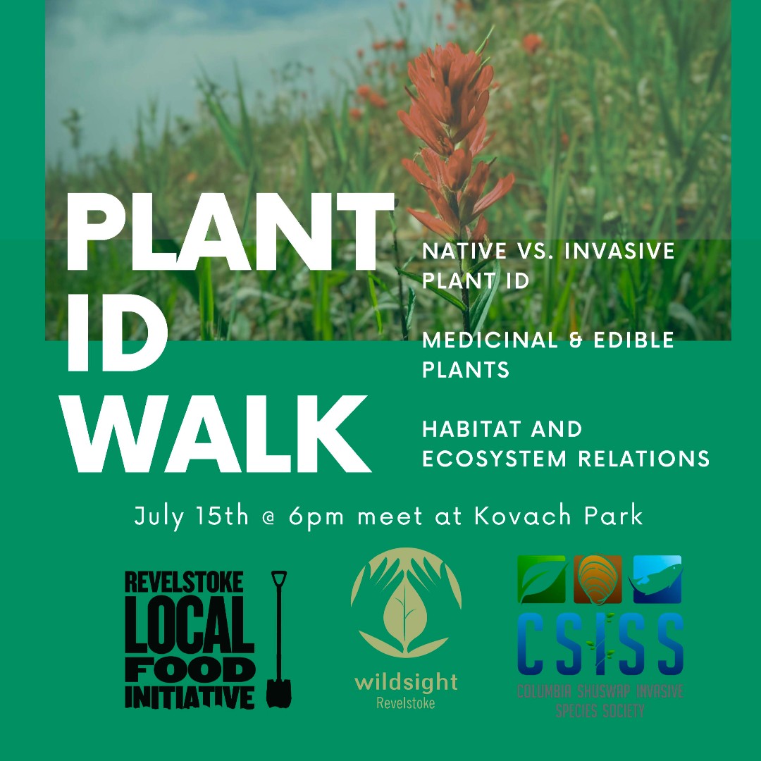 WildsightRevy's tweet image. Join us tomorrow for this informative walk and talk with local experts from Columbia Shuswap Invasive Species Society , Revelstoke Local Food Initiative  and Wildsight Revelstoke 

👉Thursday July 15th
🛹Meet at Kovach Skate Park 
⏱️6pm