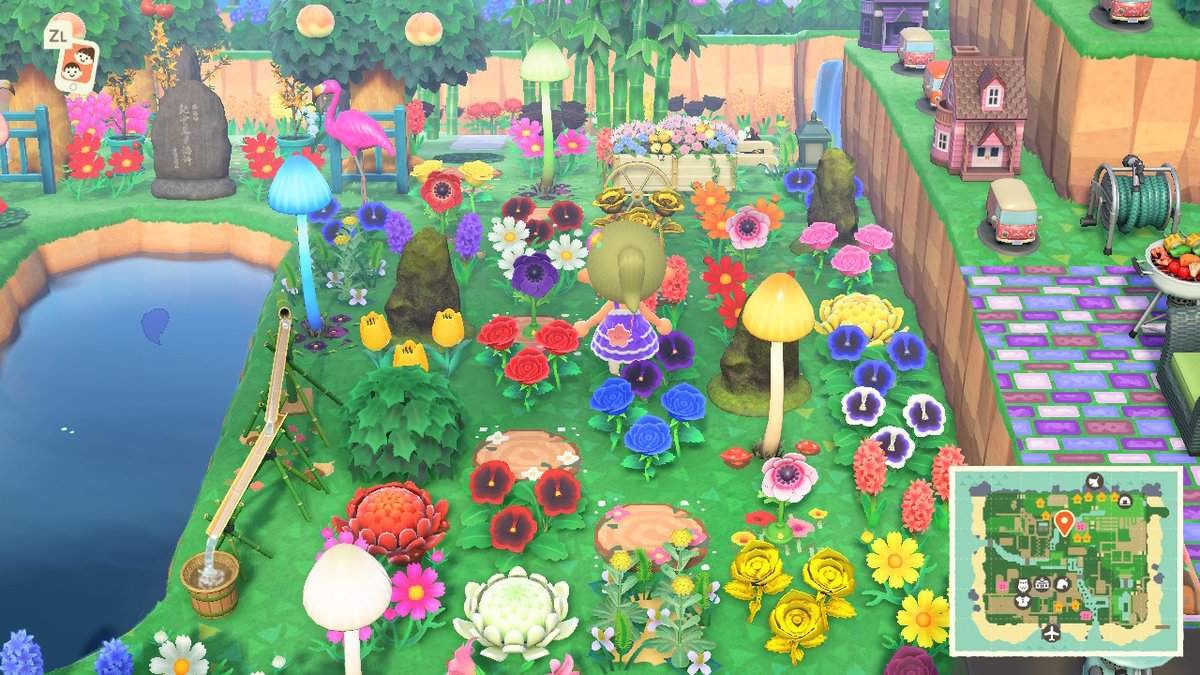 mswaitwut's tweet image. #AnimalCrossing #ACNH #NintendoSwitch