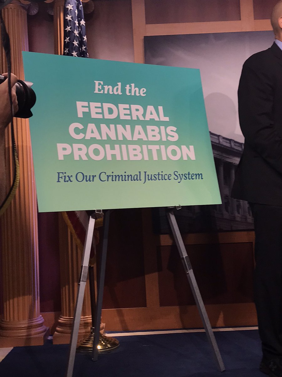 NOW: a big moment, if a legislative baby step for movement to legalize marijuana.  Sen. Leader Schumer,  Sens. Booker, Wyden floating a “draft” plan.

Note: sign is Washington-ese for “legalize pot”.  (In general the DC rule is triple the # of syllables.  Which they did here.)