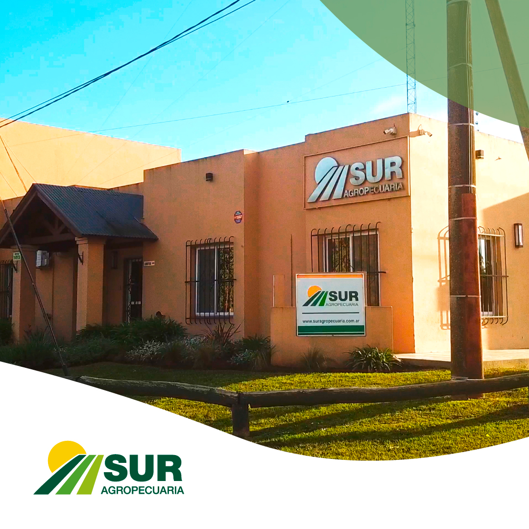 SurAgropecuaria's tweet photo. Nuestro objetivo es desarrollar los mejores negocios para el productor🌻, integrándolo como un factor clave para alcanzar un crecimiento mutuo.💪

#suragropecuaria #productoragropecuario  #agro  #cereales #granos #campoargentino #agropecuaria #agricultor #agronegocios https://t.co/AOXsPU12t1