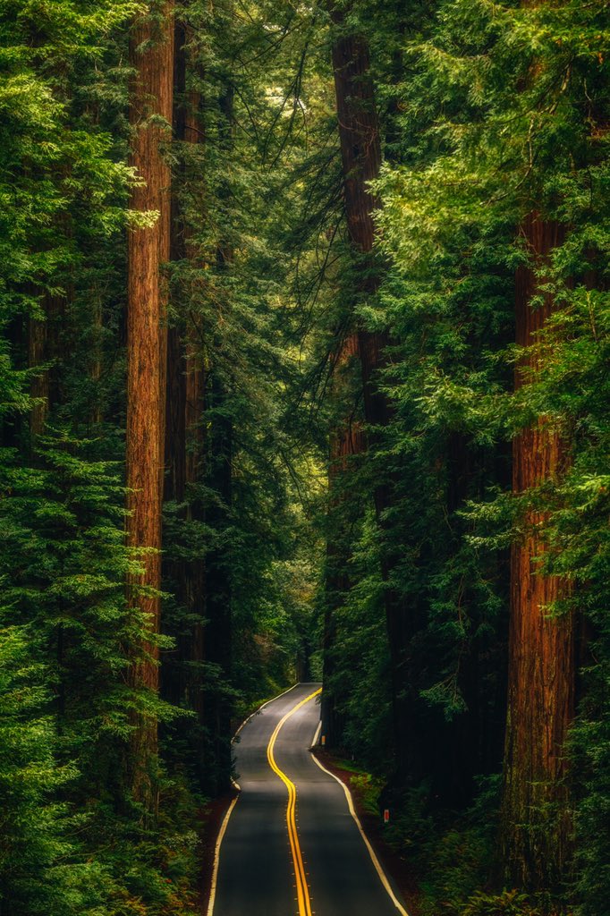 One of those roads I’ll keep wanting to drive forever