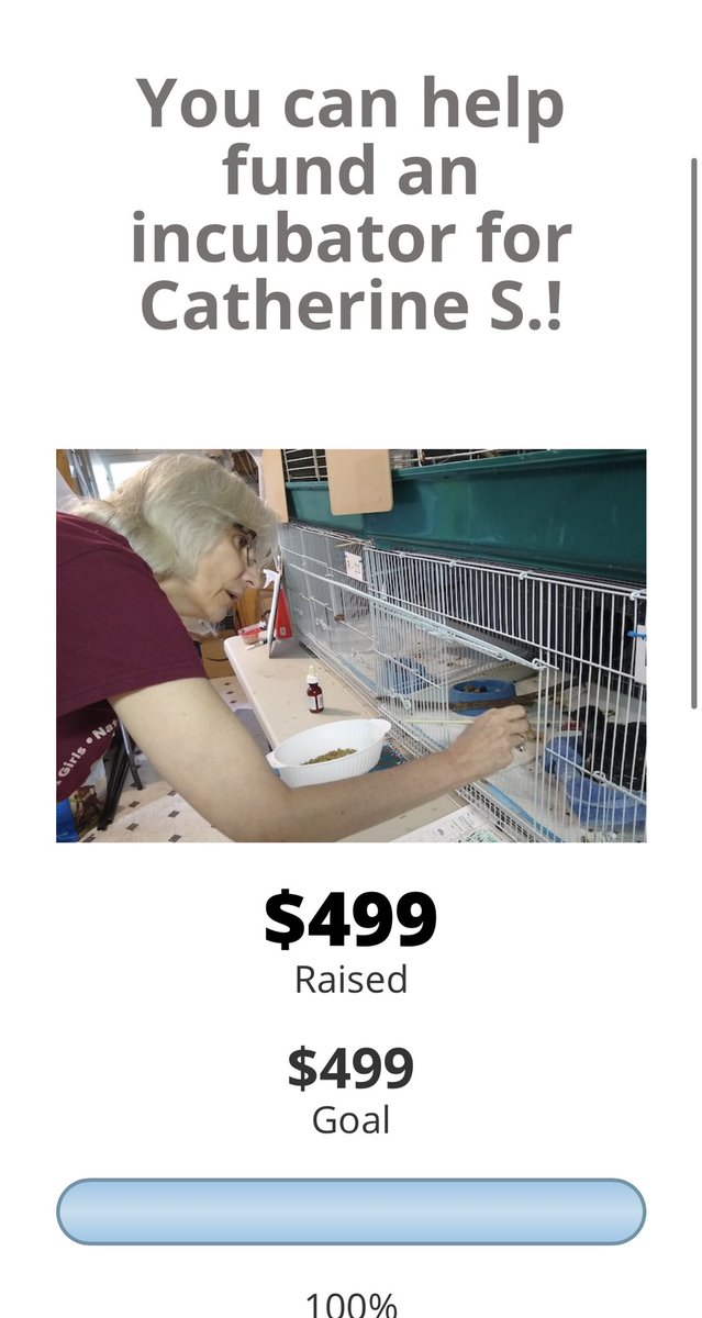 We reached our goal! Thank you to everyone who donated!