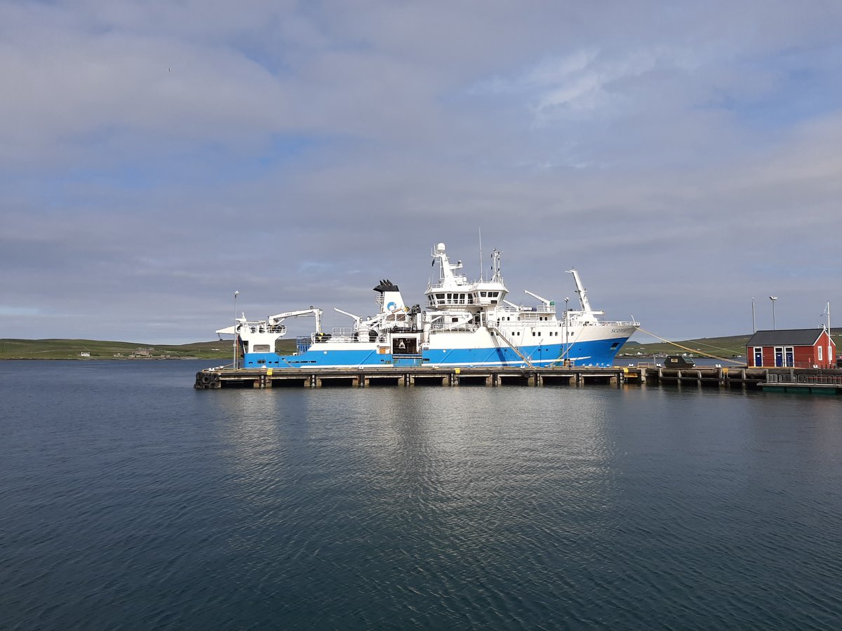 Little and Large! Nice surprise with @NAFCShetland survey vessel Moder Dy (stern at least) and @marinescotland #Scotia tied up in #Lerwick this evening. #NAFCresearch #Shetland #marinesurvey #lovelyandcalm