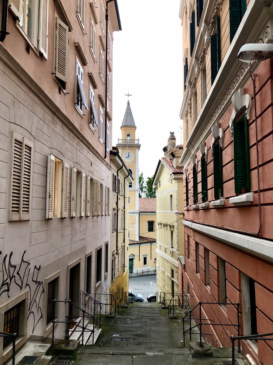 Want to get on the road to “knowing” Trieste? Stumble upon alleys, sidestreets, and stairs. 

Stone walls, changing levels, Hasburgic buildings, dark-green tree canopies, and a glimpse of the sea.

#Trieste #FriuliVeneziaGiulia @DiscoverTrieste @FVGlive @Italia @FindingItaly