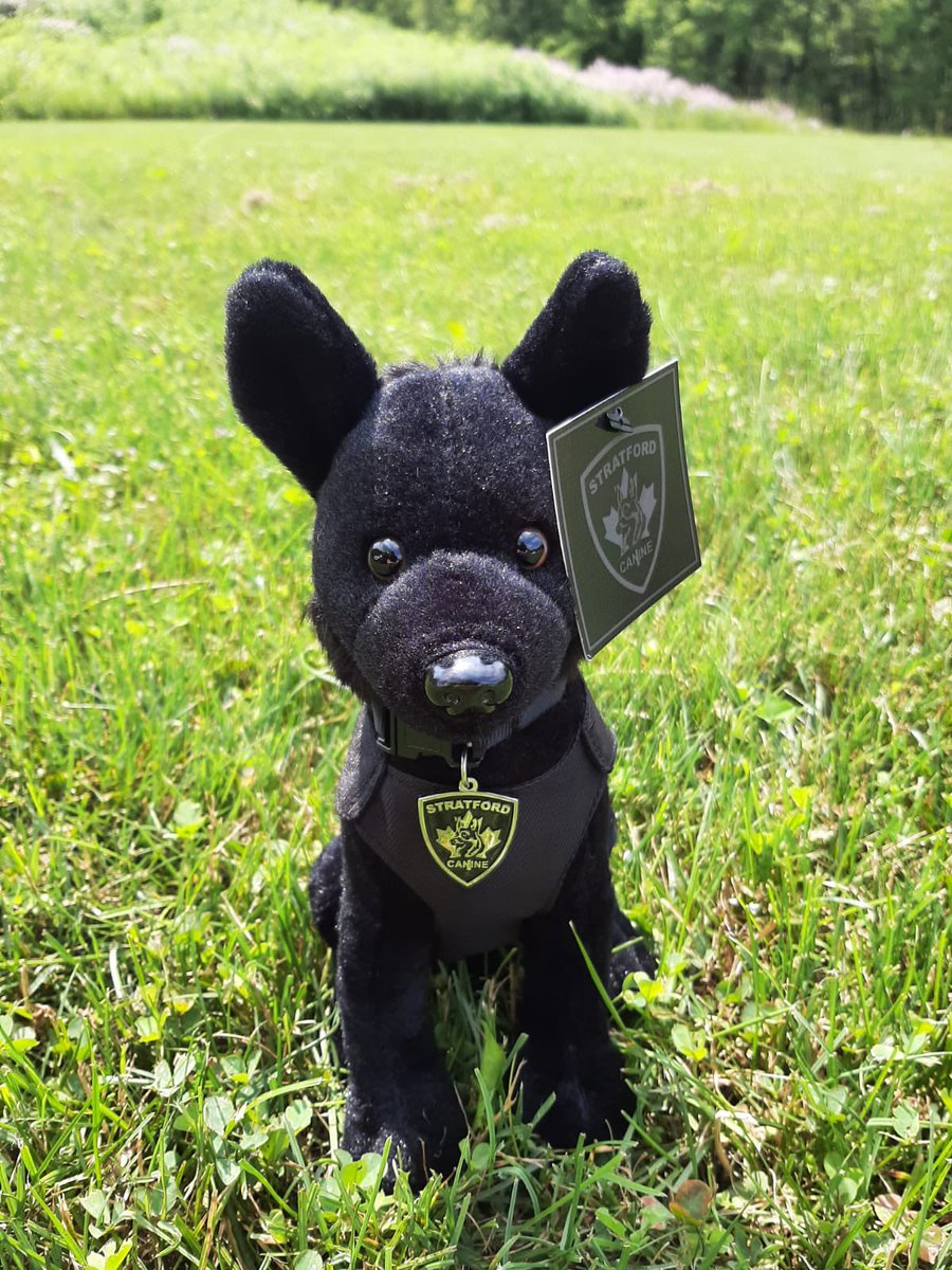 Retired PSD Jack tweet media