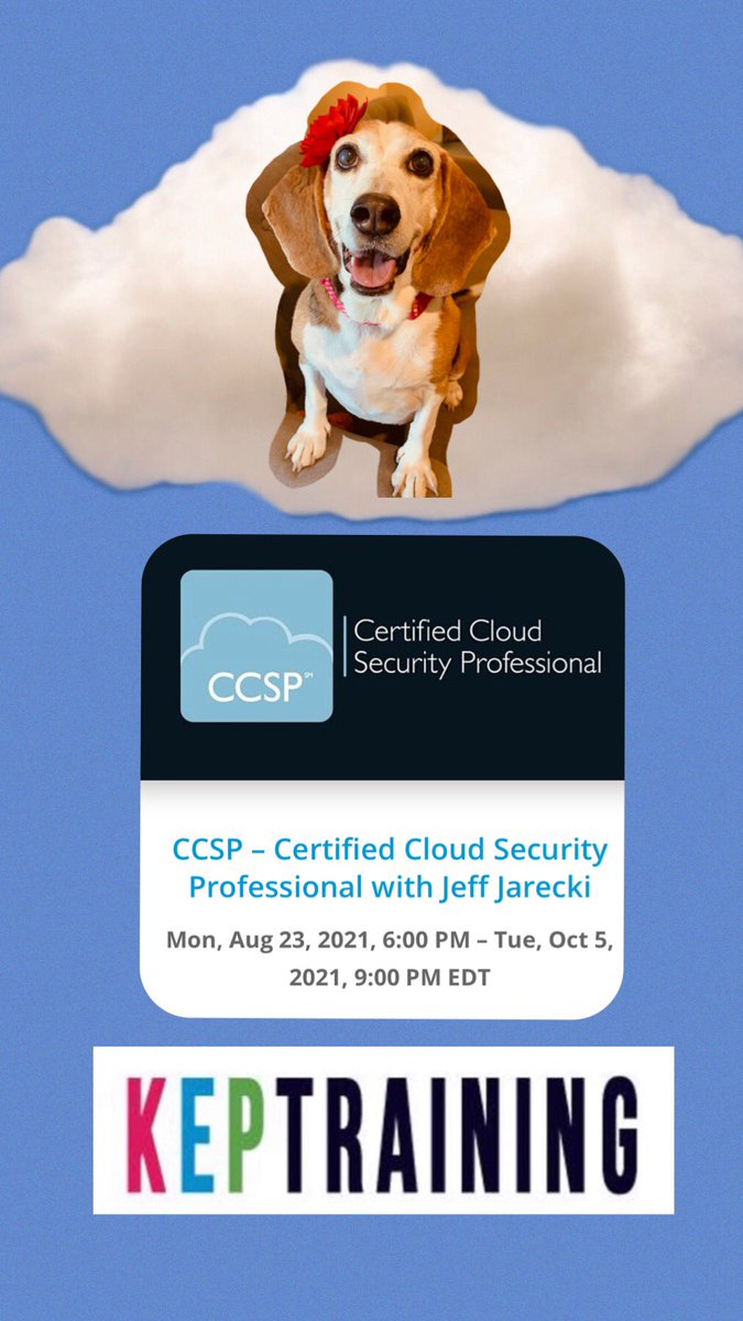 KEPTraining's tweet photo. Cyber knows how to stand out in the ‘Cloud!’  You can too if you register for our upcoming CCSP certification class beginning on August the 23rd with @jeffjarecki @AnnaKepshire #kepcyber #CyberSecurity #ccsp #keptraining https://t.co/4Cj08lMbLR https://t.co/7CxonUD5gw