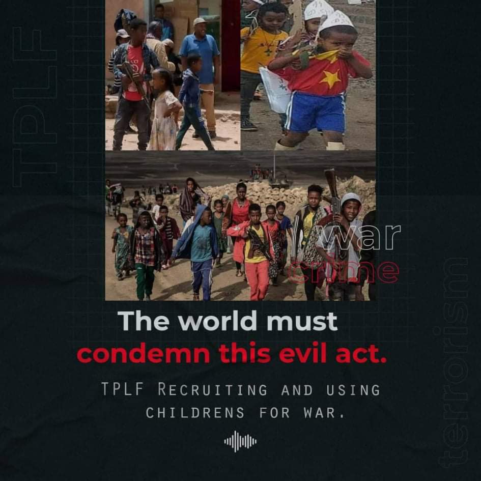 ውድ ኢትዮጵያውያን ከስር ከ 1-13 ያሉትን “Click to Tweet” በመጫን ከስሩ የሚገኙትን መፈክሮችን በመጫን ወይንም ትዊተር ገጽዎት ላይ ትዊት በማለት ድምፅዎን ለዓለም  ያሰሙ!

unityforethiopia.net/childrenare-no…