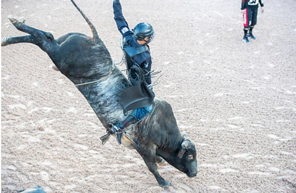 If you think you are too small to make a difference, try being in a room with a mosquito. 

📸 <a href="/andresilvaphoto/">Andre Silva</a> 
@tcbeqiune @gonzaleshatcompany @dennisdavisbuckingbulls <a href="/vexilbrand/">VEXIL BRAND</a> <a href="/bar_t_boutique/">Bar T Boutique</a> @betterbootco 
#godisgood #blessed