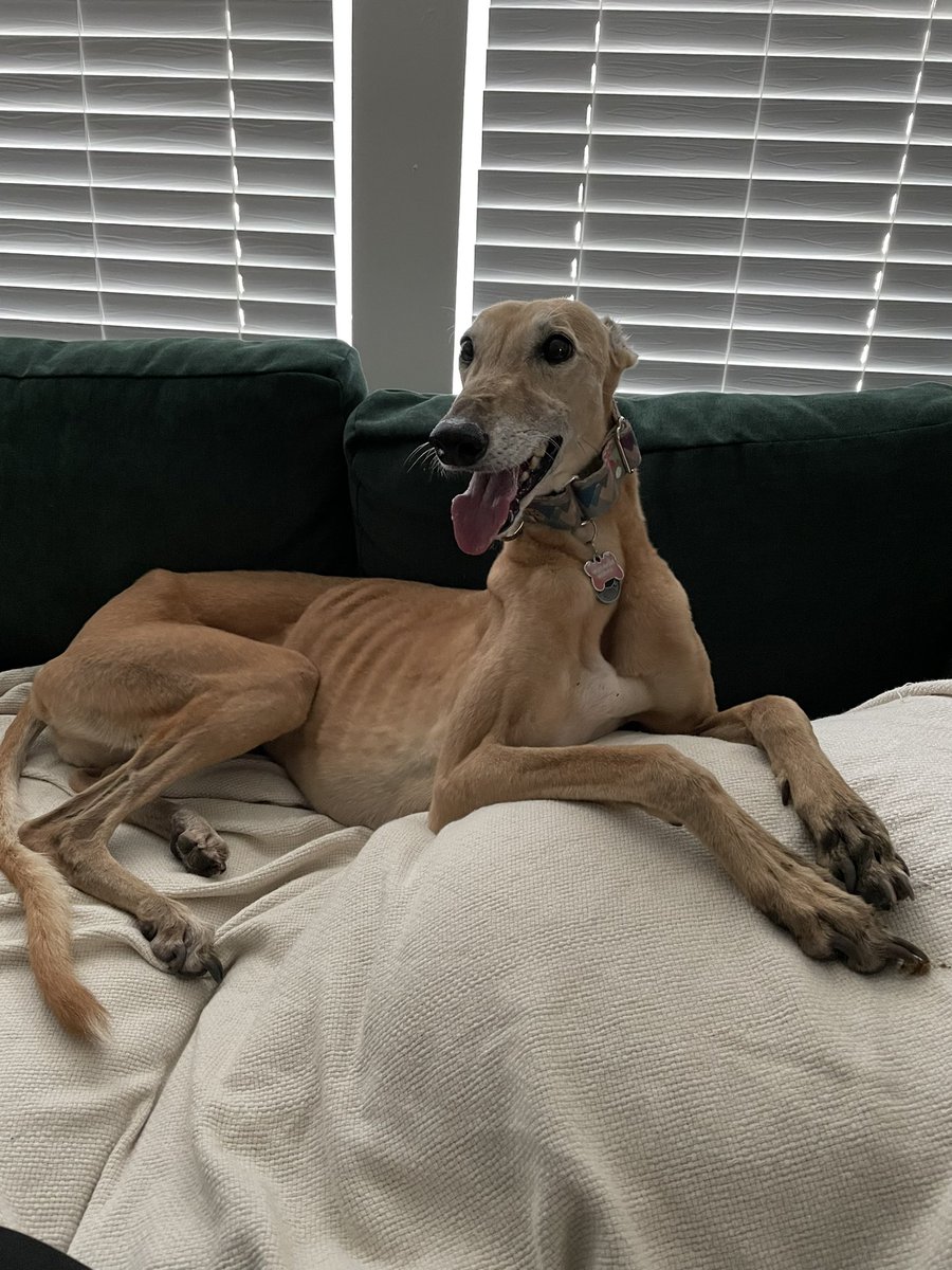 Rachel Ware tweet media