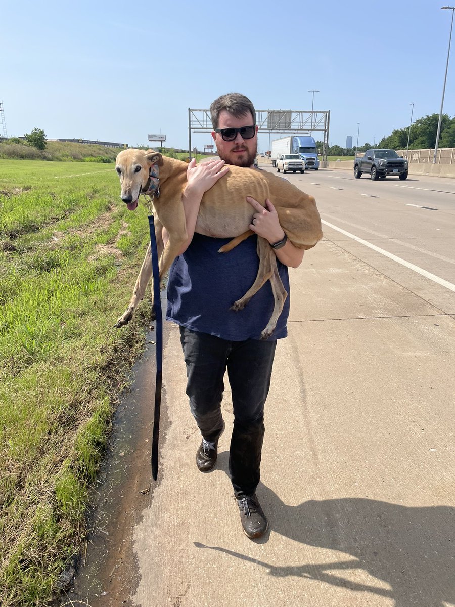 Rachel Ware tweet media