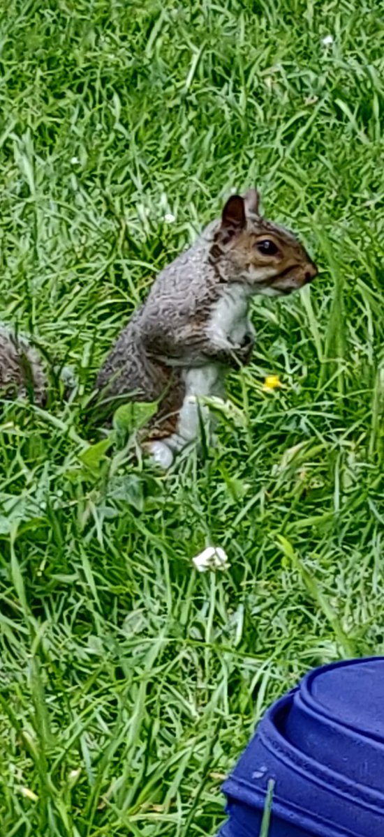 St Michael's Mt Pri tweet media