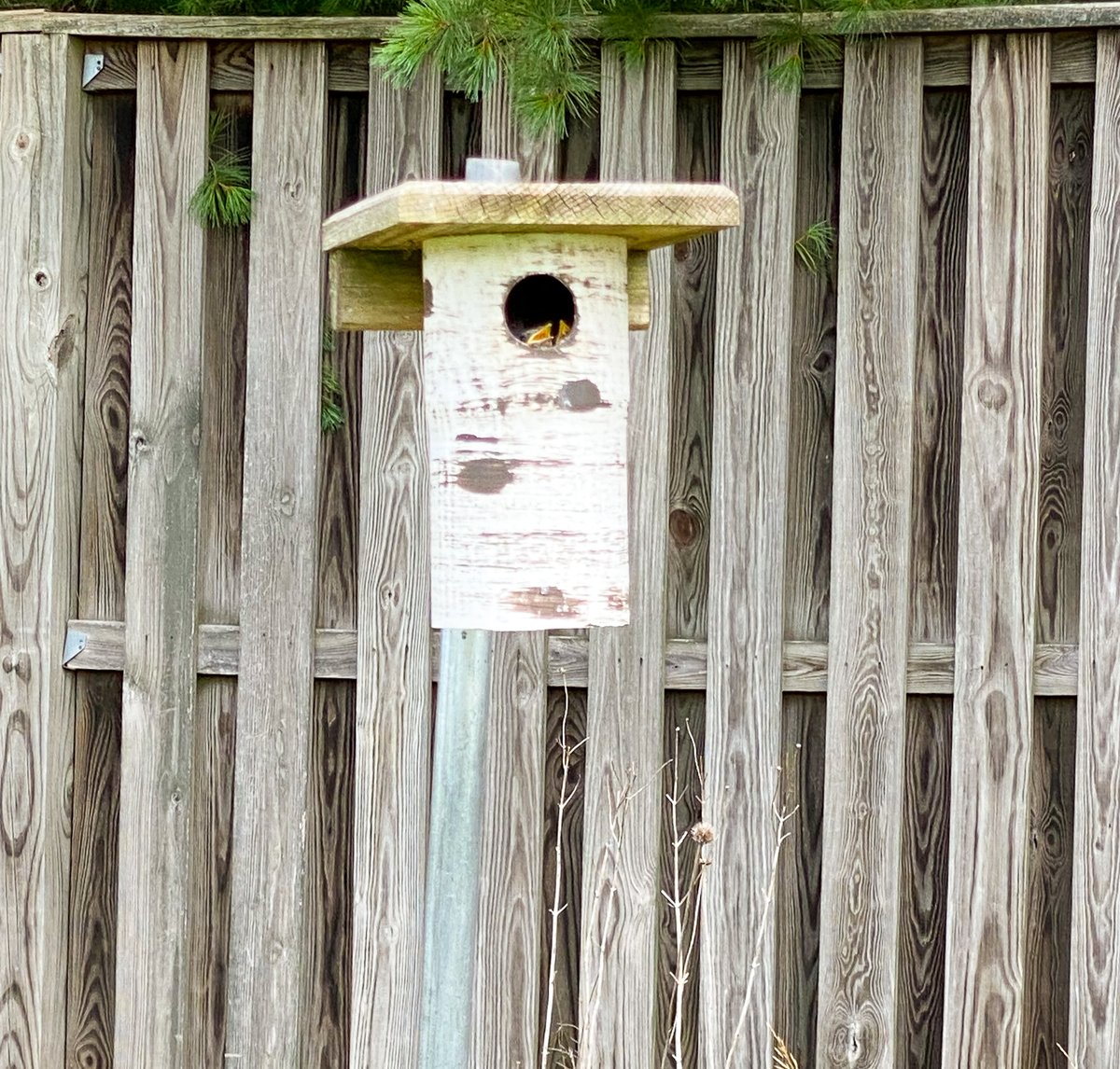 Tweet by Barnesville School of Arts & Sciences