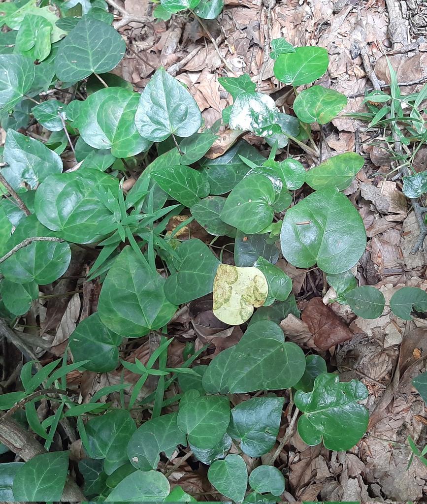 #farklıolmak kötü olduğu anlamına gelmez #farkedilmek #aytepe