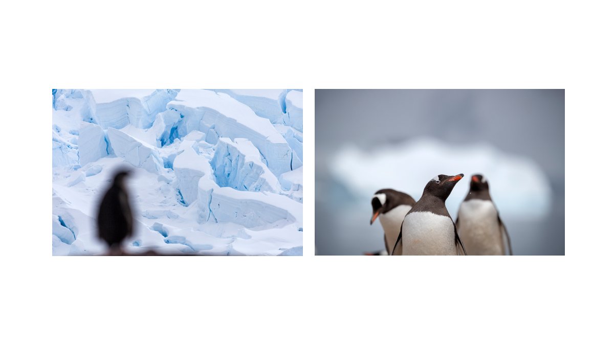 DesignAtlasPod's tweet image. Saskia and Colin took us on this incredible journey in their episode, take a look at some of their stunning photographs from some of their travels. #designatlas #designatlaspod #podcast #Photography #Videography #Season2  #Scotland #Antarctica