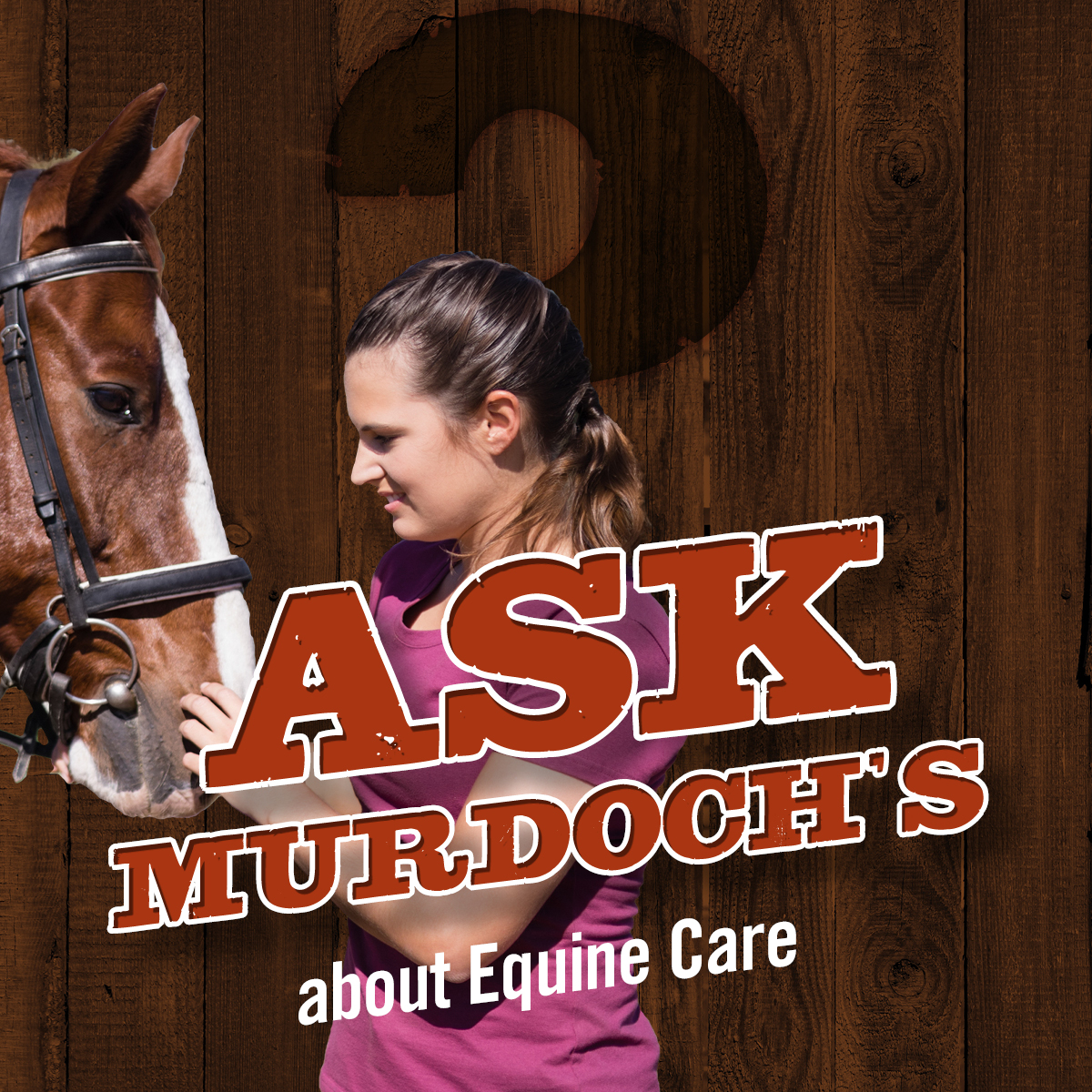 Grooming your horse promotes bonding and trust while providing opportunities to monitor the health of your steed. Got questions about grooming, heat or fly control, bathing, hoof care…anything horse? Ask Murdoch’s!